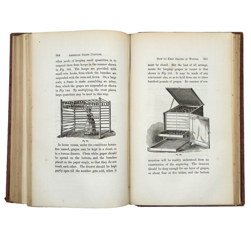 An Elementary Treatise On American Grape Culture And Wine Making by Mead, Peter B.: a distinguished excerpt from the 1867 wine & viticulture treatise