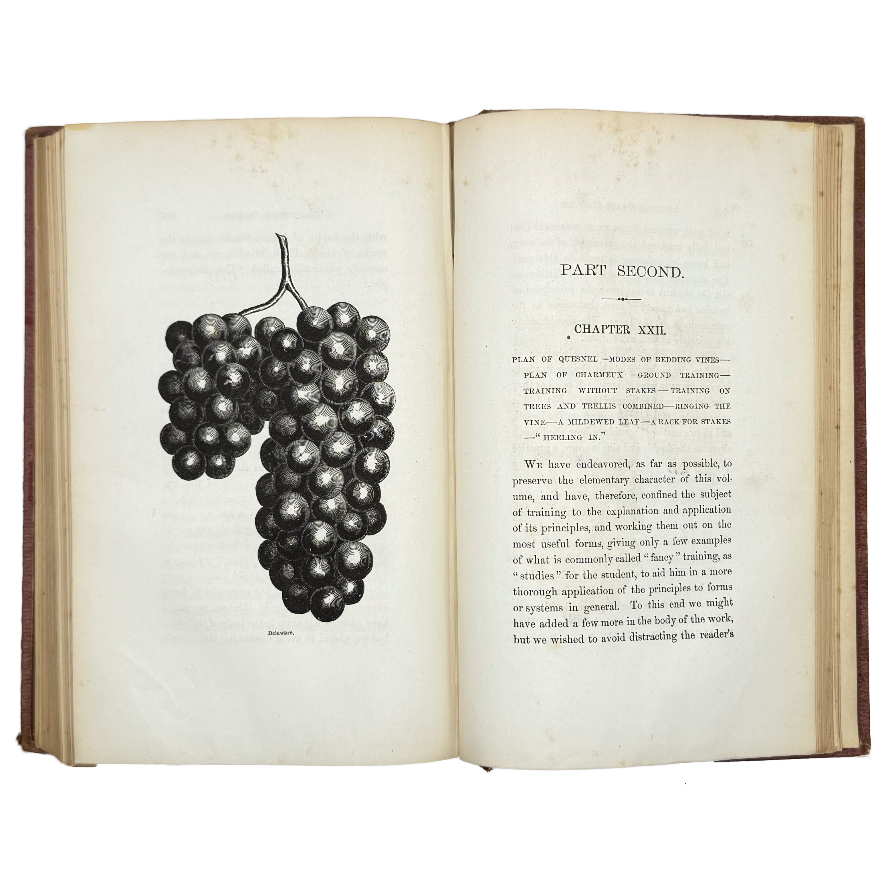 An Elementary Treatise On American Grape Culture And Wine Making by Mead, Peter B.: a distinctive element from the 1867 wine & viticulture printed work
