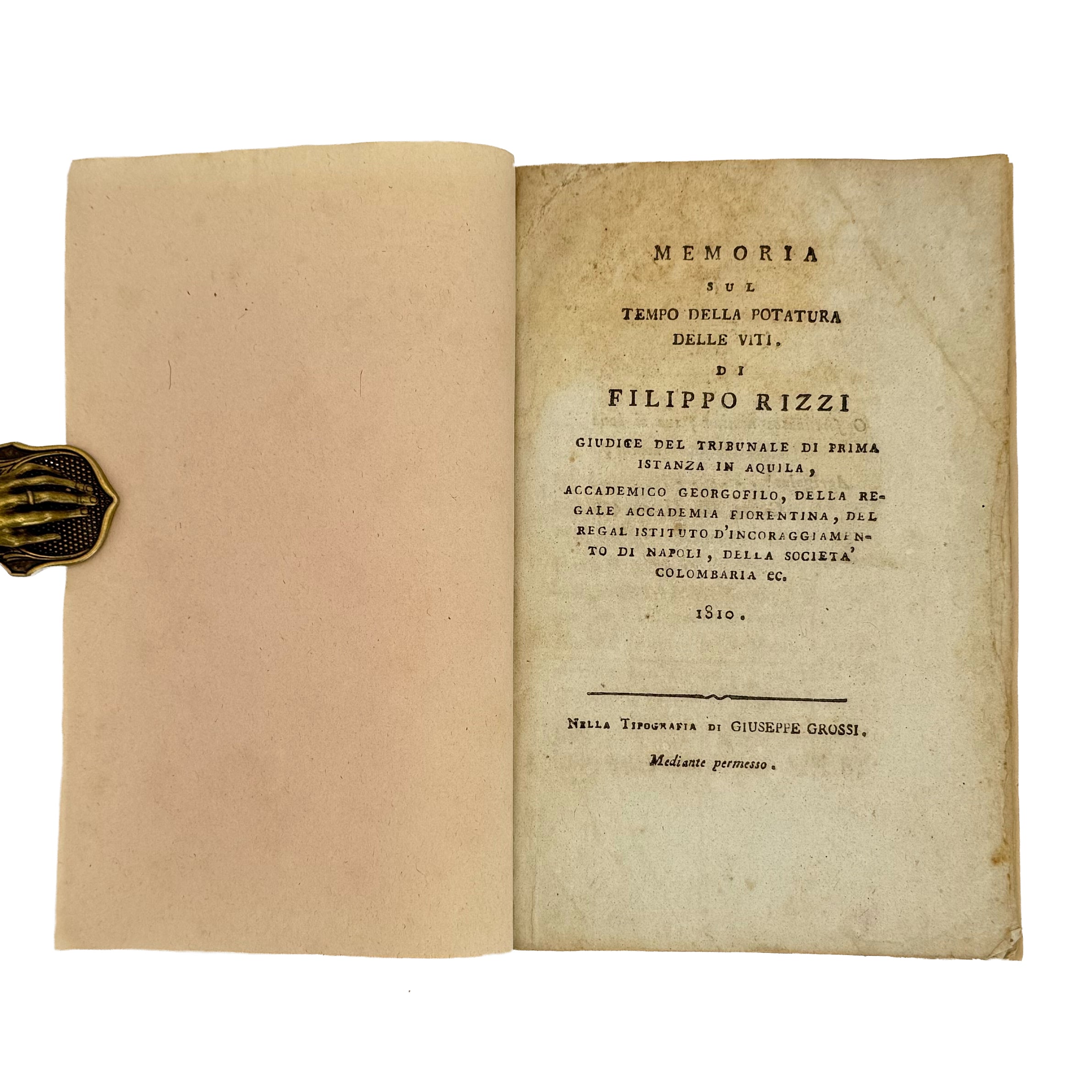 Memoria sul tempo della potatura delle viti