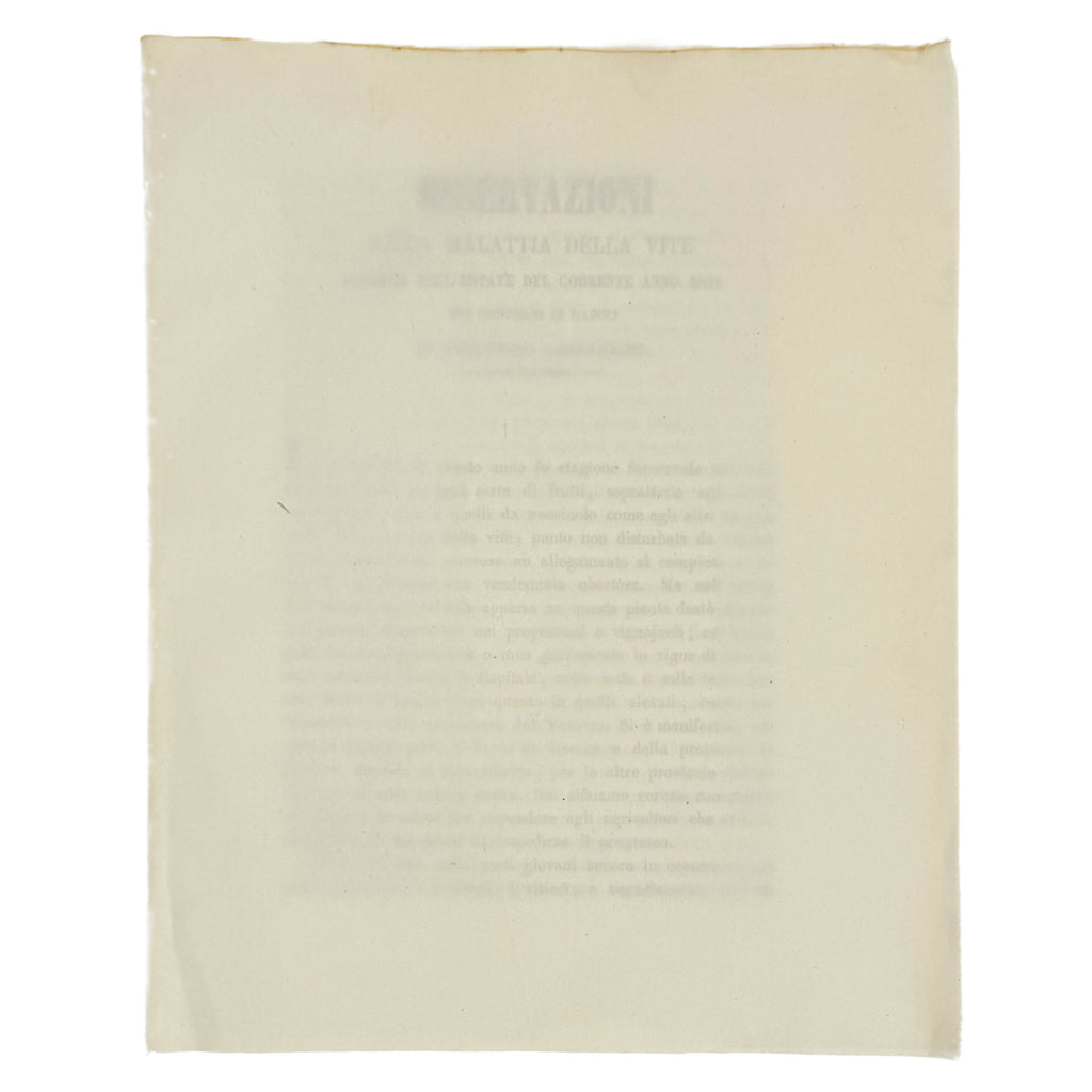 Osservazioni sulla malattia della vite