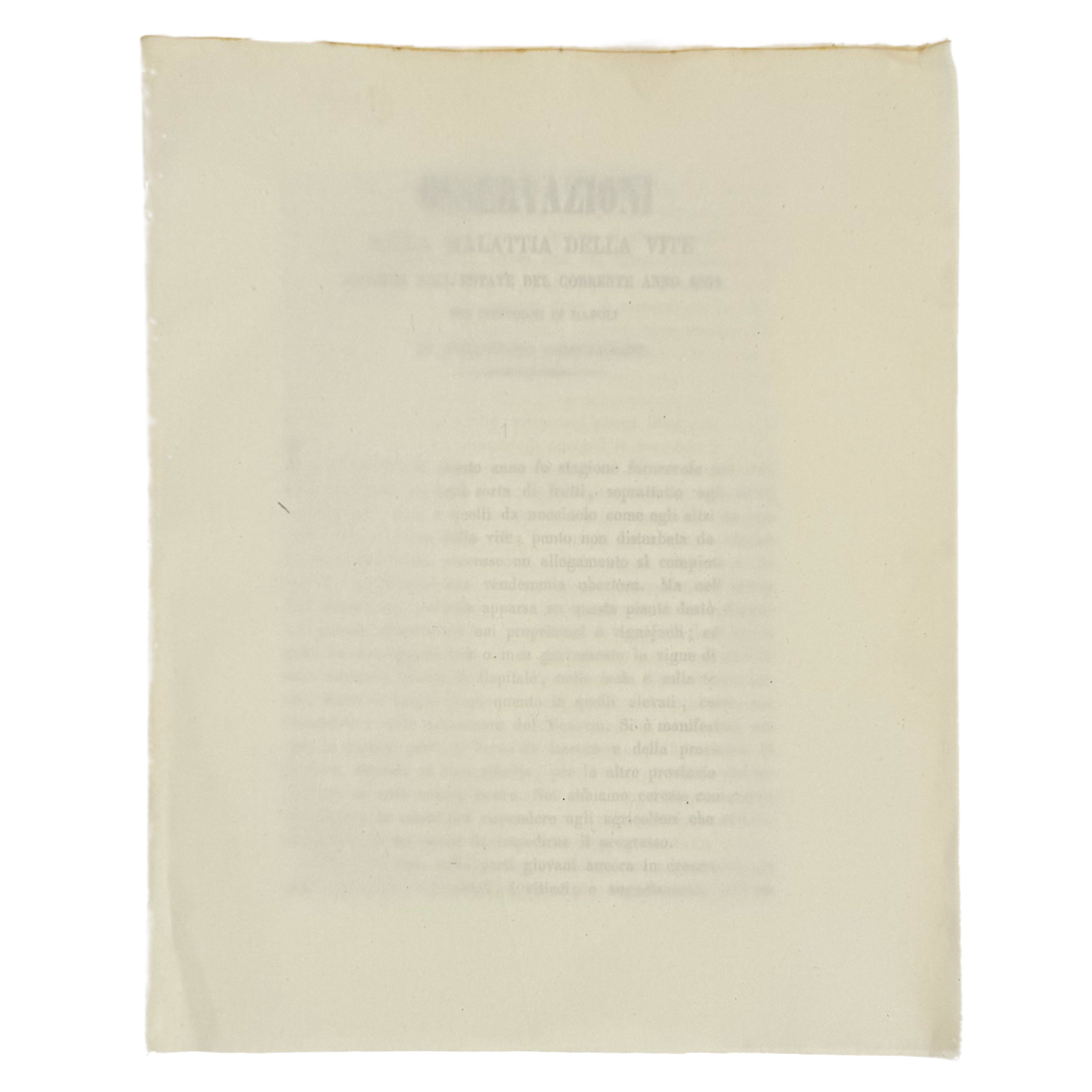 Osservazioni sulla malattia della vite