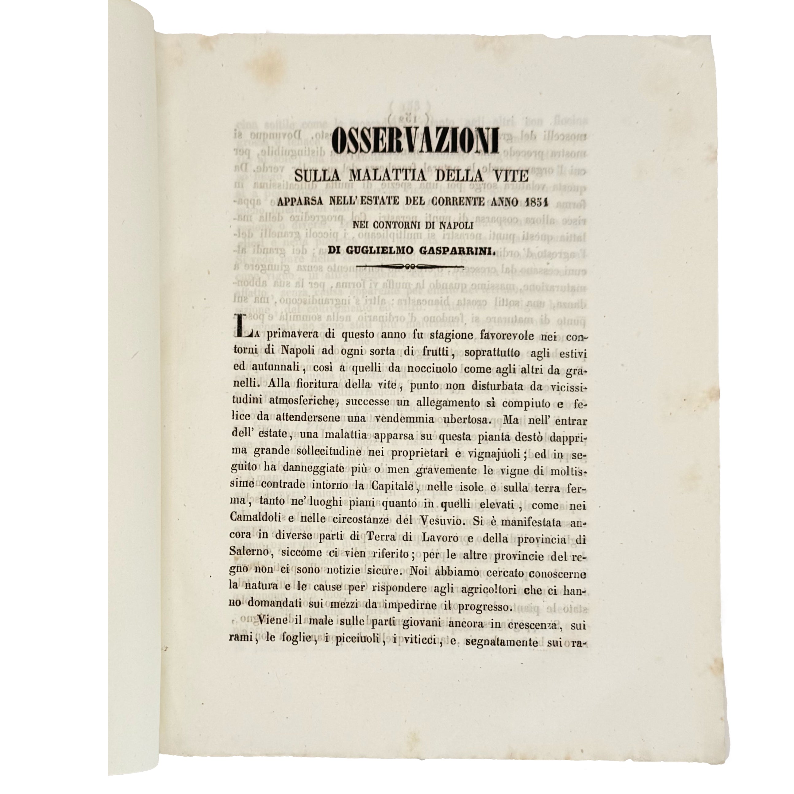 Osservazioni sulla malattia della vite