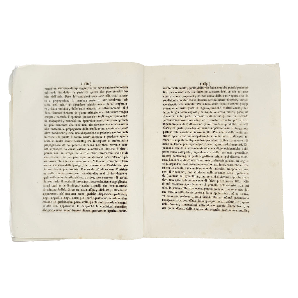 Osservazioni sulla malattia della vite