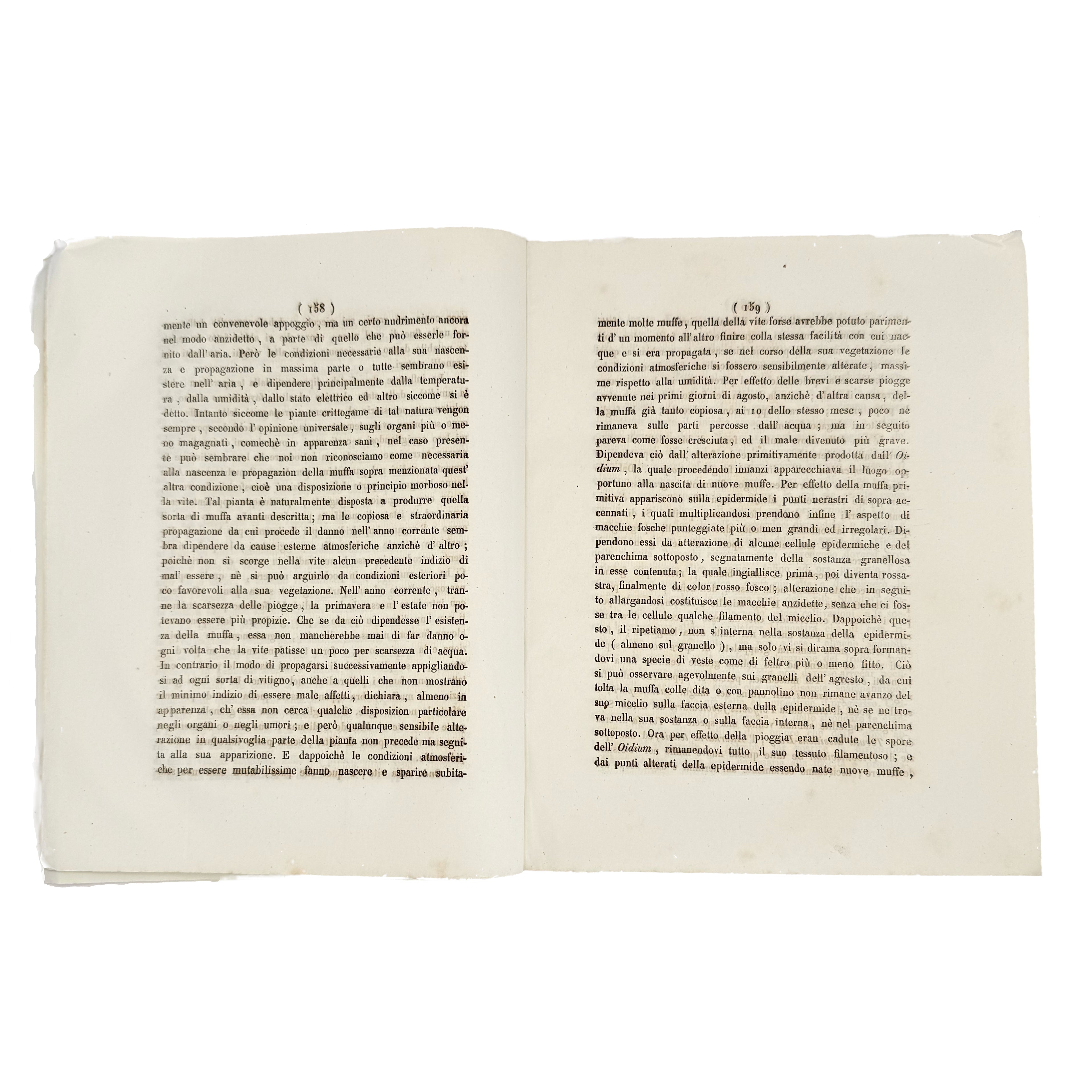 Osservazioni sulla malattia della vite