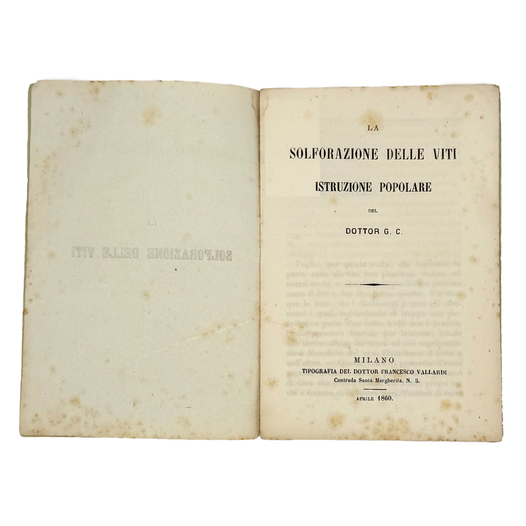 La solforazione delle viti