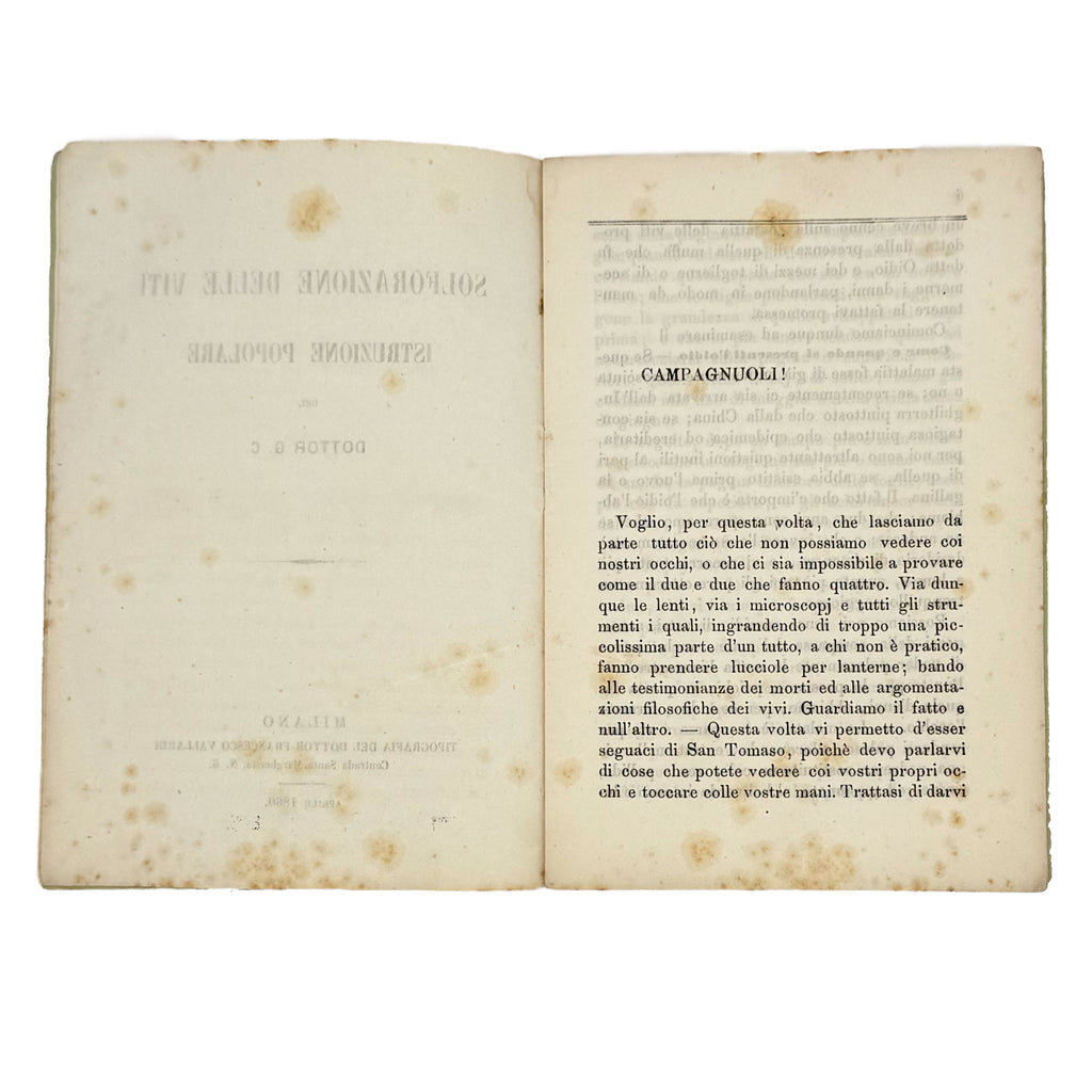 La solforazione delle viti