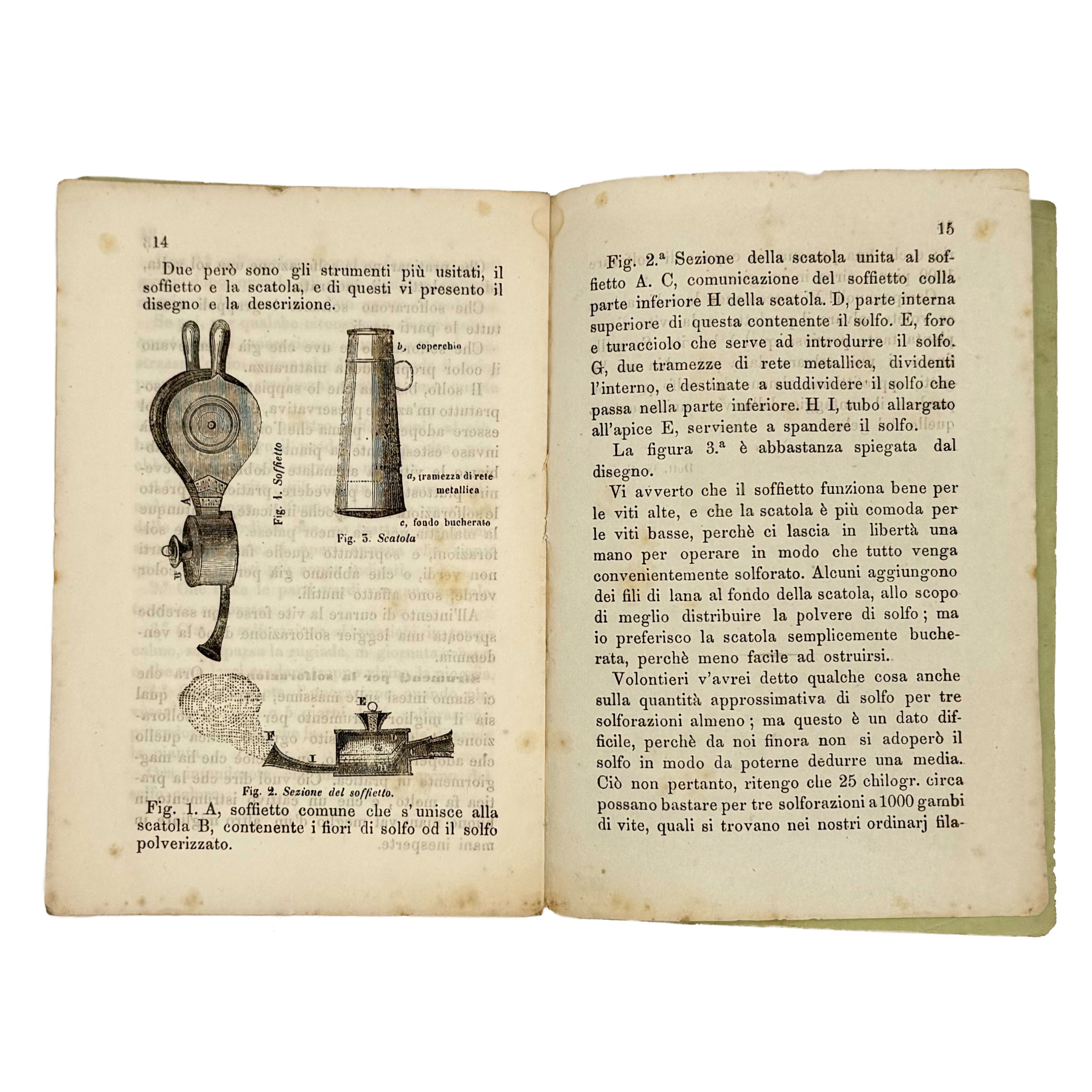 La solforazione delle viti