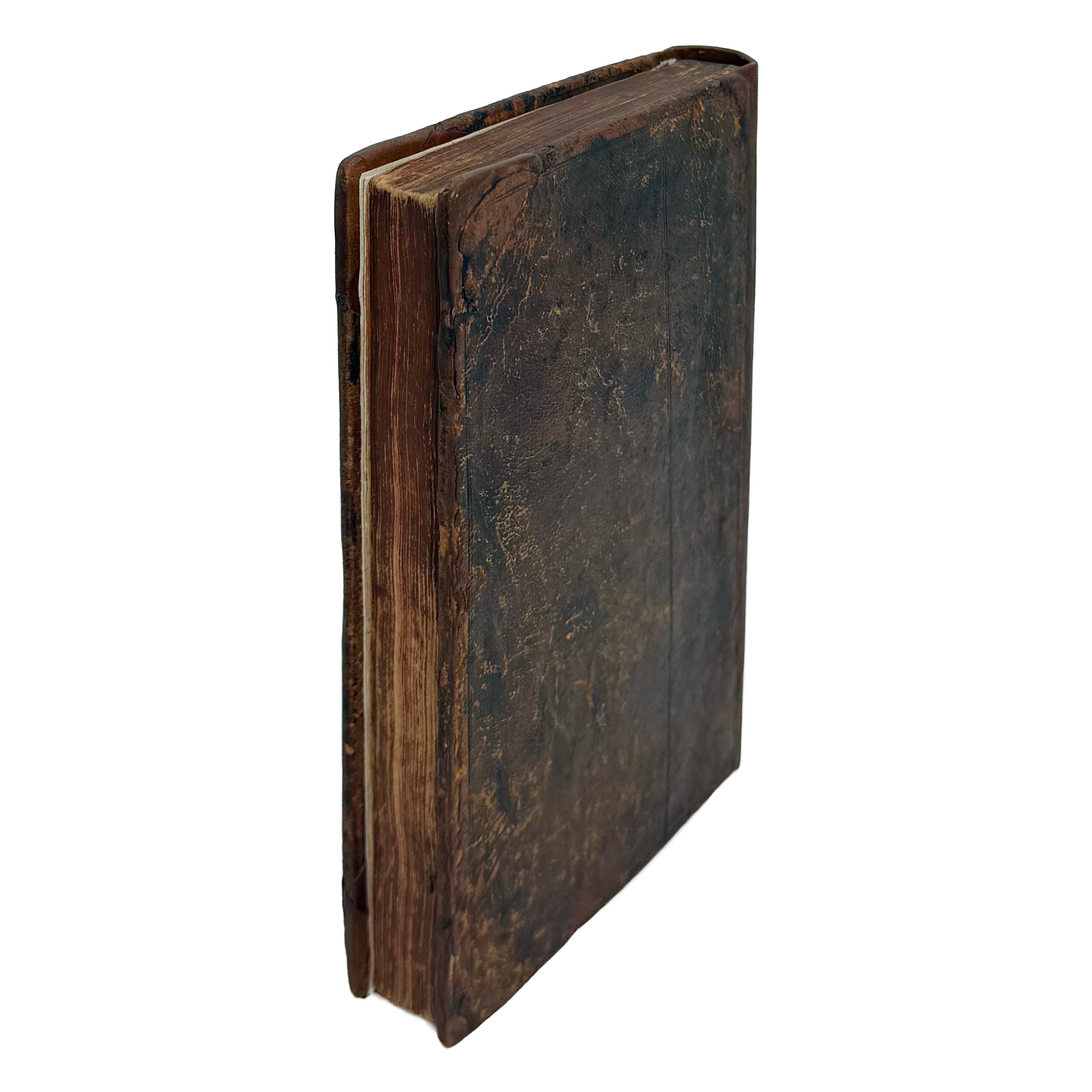 Vinetum Britannicum by Worlidge, John: a rare surviving image of the 1678 wine & viticulture volume