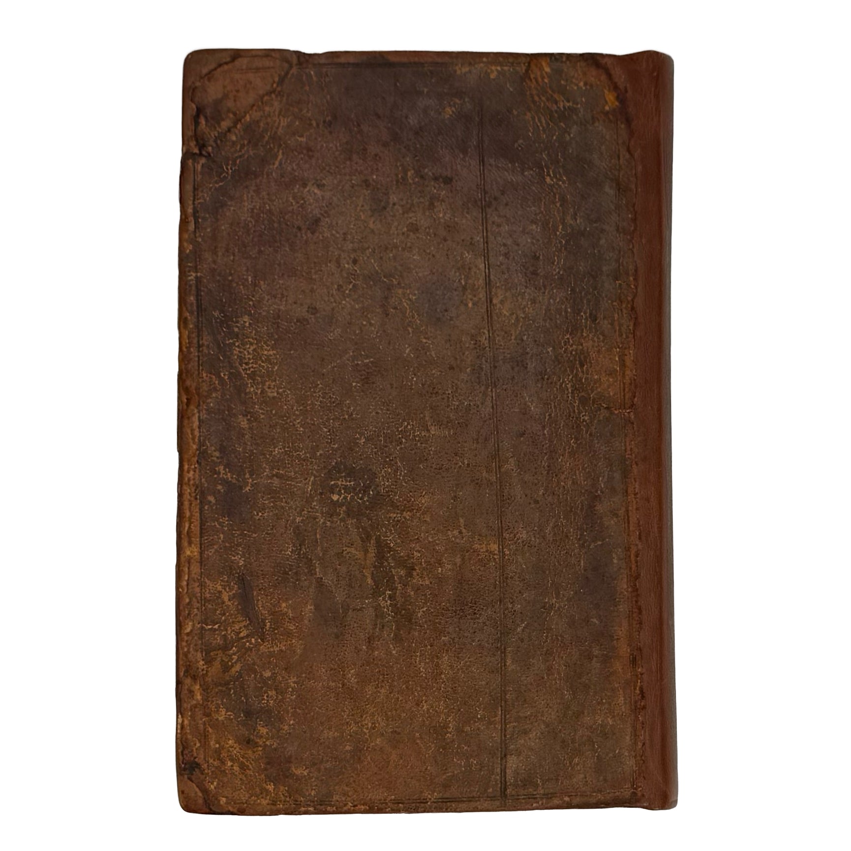 Vinetum Britannicum by Worlidge, John: a delicate visual nuance of the 1678 wine & viticulture edition