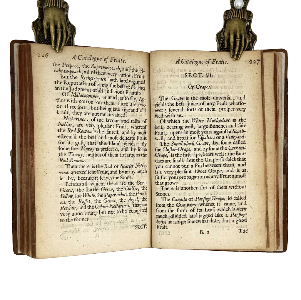Vinetum Britannicum by Worlidge, John: a selected plate showing the 1678 wine & viticulture printed work
