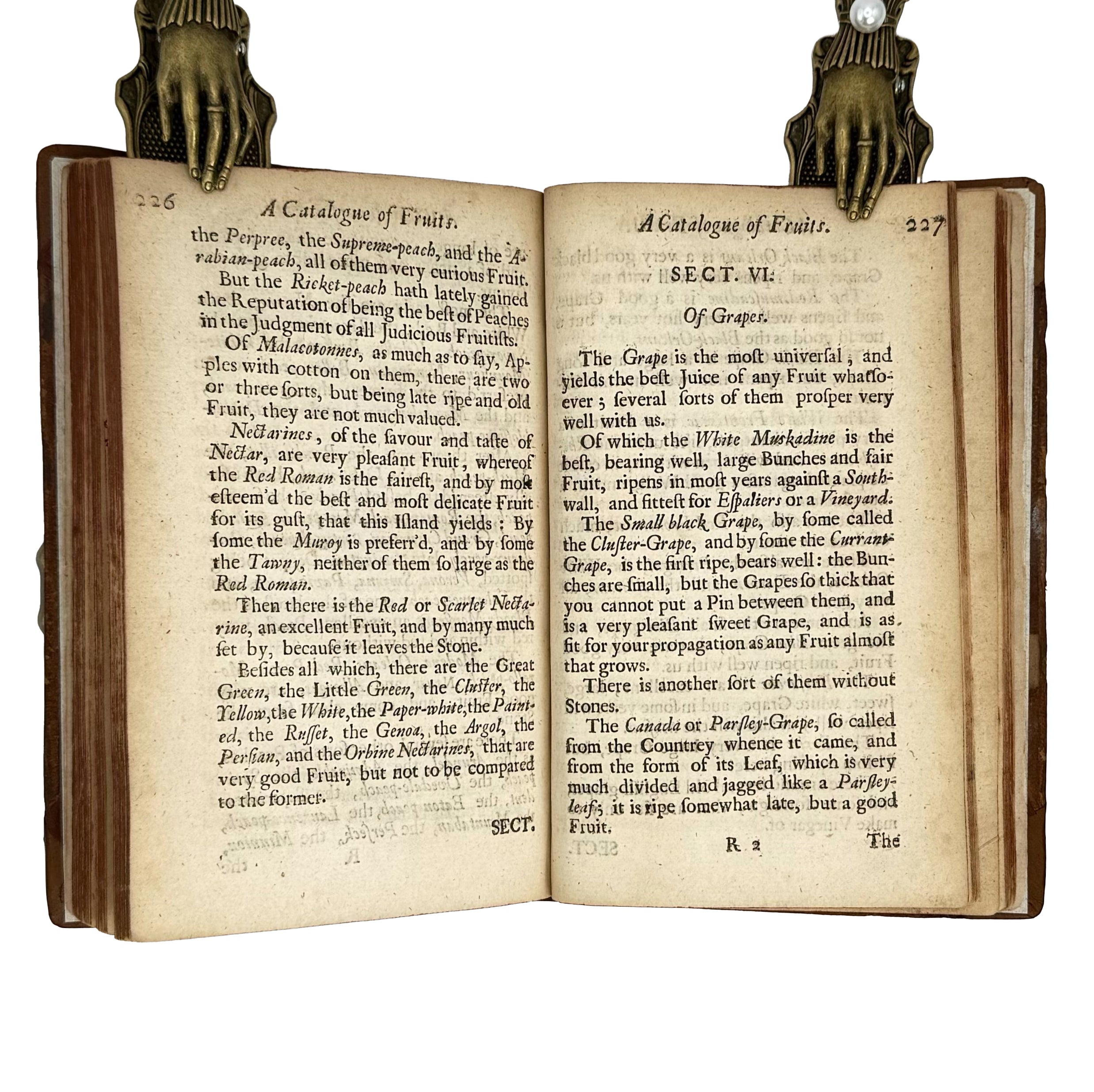 Vinetum Britannicum by Worlidge, John: a selected plate showing the 1678 wine & viticulture printed work