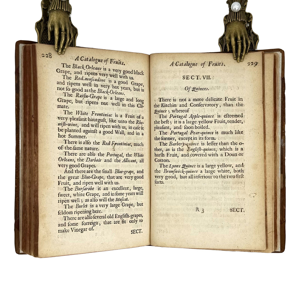 Vinetum Britannicum by Worlidge, John: a rare visual excerpt of the 1678 wine & viticulture piece