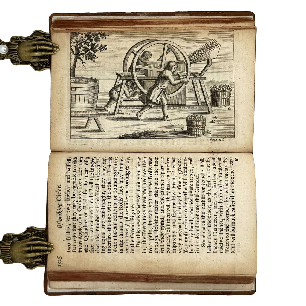 Vinetum Britannicum by Worlidge, John: a finely chosen detail from the 1678 wine & viticulture treatise