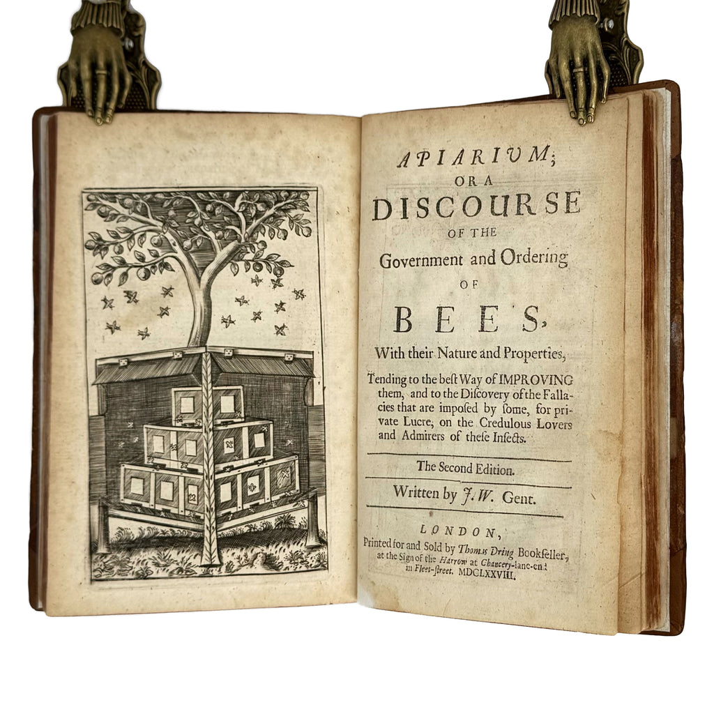 Vinetum Britannicum by Worlidge, John: a scarce illustrative detail of the 1678 wine & viticulture printed work