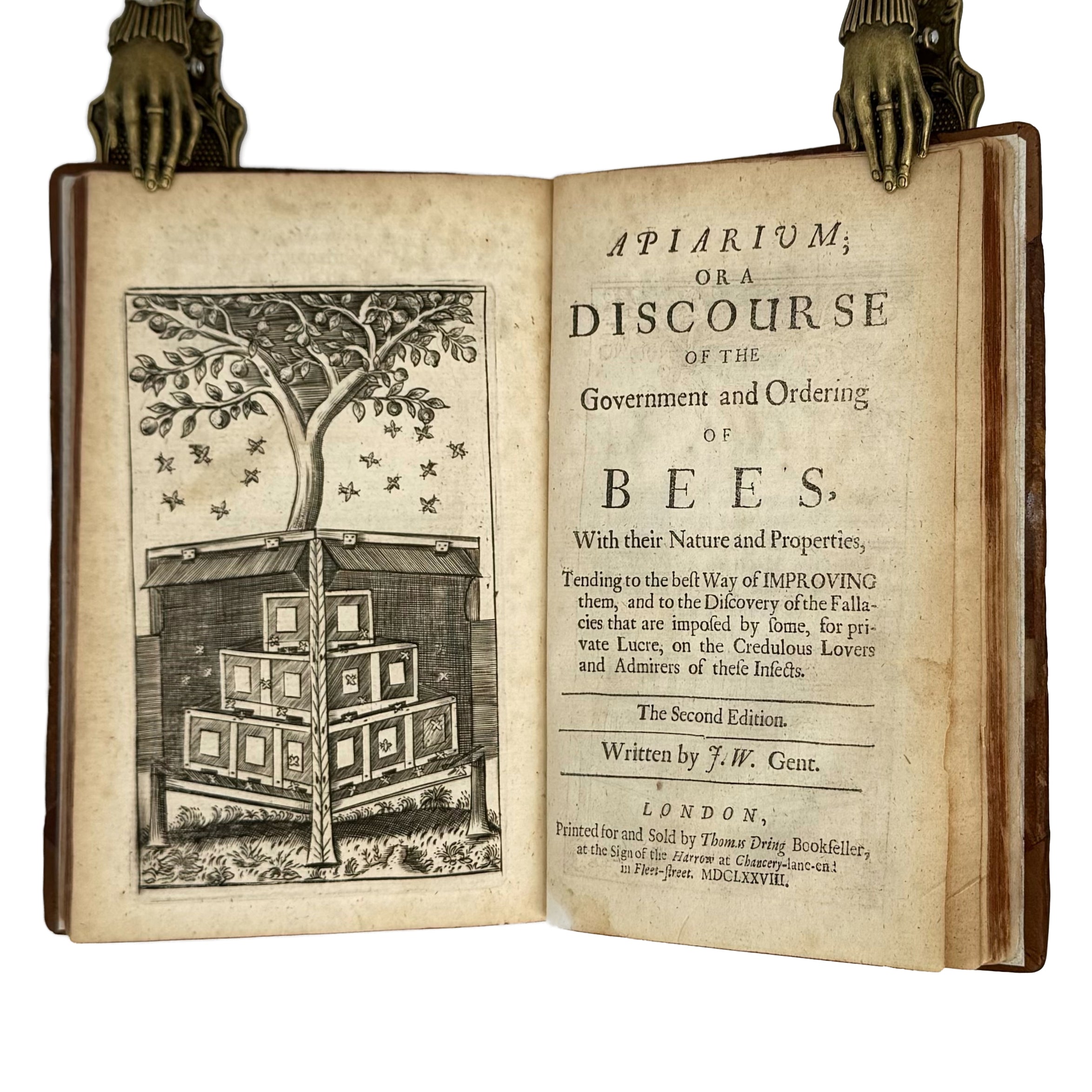 Vinetum Britannicum by Worlidge, John: a scarce illustrative detail of the 1678 wine & viticulture printed work