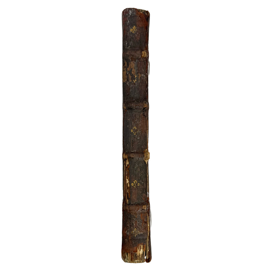 Saturnalium Sermonum libri duo, qui de Gladiatoribus; BOUND WITH: De Amphiteatro Liber (INCL: De Amphiteatris quae extra Romam libellus) by Lipsius, Justus: a delicate visual nuance of the 1604 illustrated wonders copy