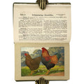 Kramers Taschenbuch der Rassegeflügelzucht by Kramer, Rudolf: a noteworthy detail captured from the 1908 agriculture & natural history piece