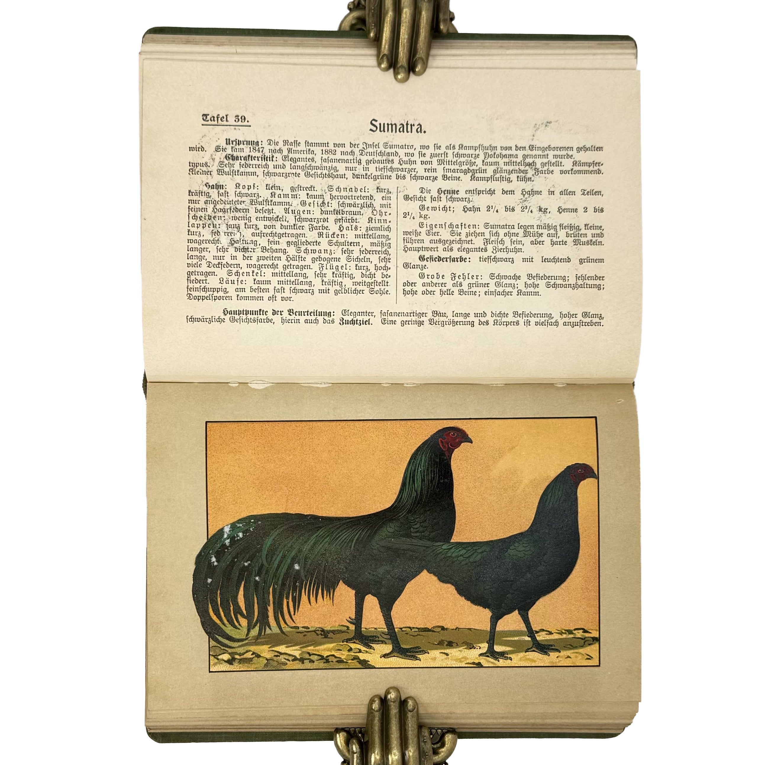 Kramers Taschenbuch der Rassegeflügelzucht by Kramer, Rudolf: a finely preserved portion of the 1908 agriculture & natural history copy