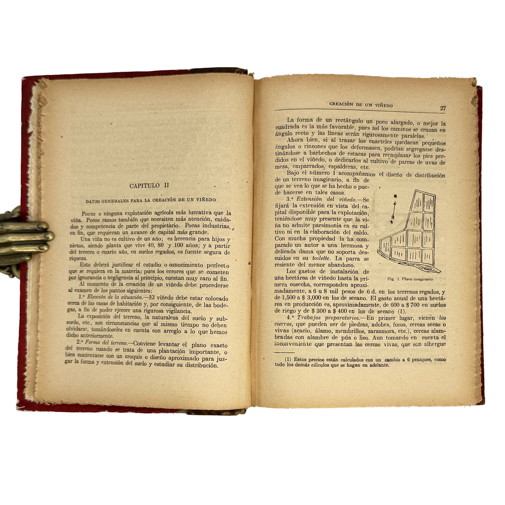 Viticultura y Vinificación by Rojas L., Manuel: a rare glimpse into the 1950 wine & viticulture volume
