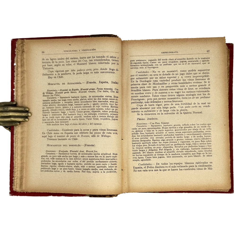 Viticultura y Vinificación by Rojas L., Manuel: a finely preserved portion of the 1950 wine & viticulture edition