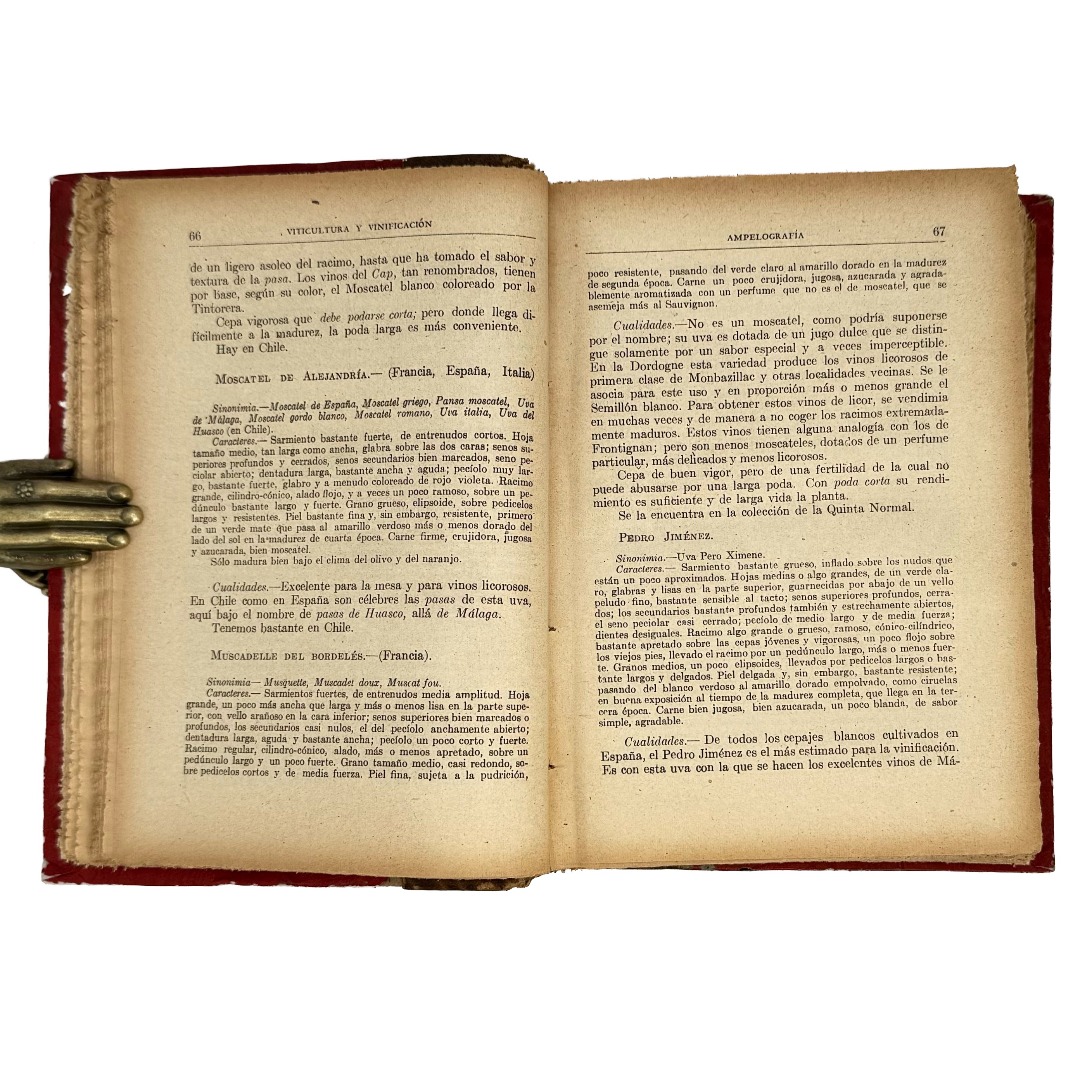 Viticultura y Vinificación by Rojas L., Manuel: a finely preserved portion of the 1950 wine & viticulture edition