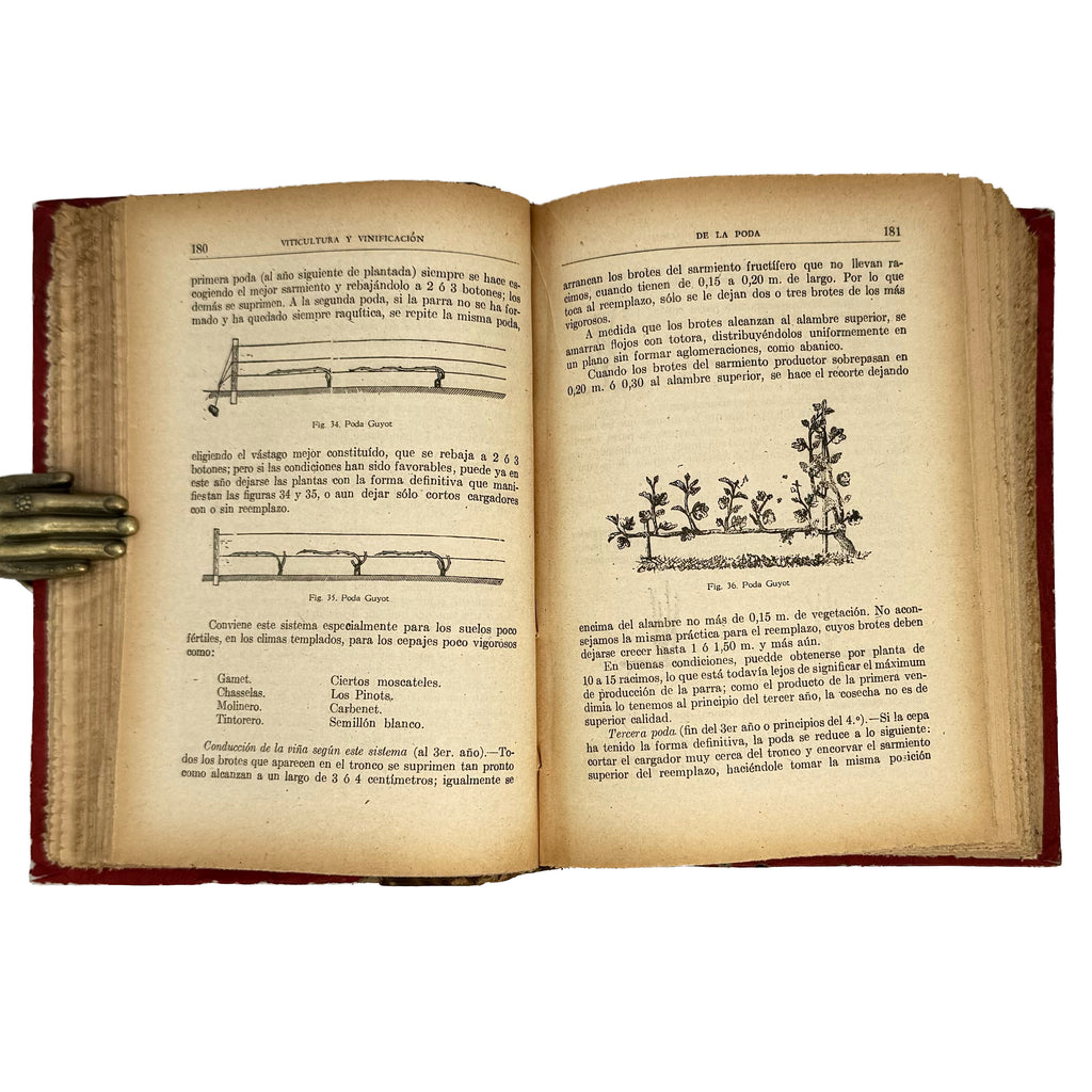 Viticultura y Vinificación by Rojas L., Manuel: a distinctive element from the 1950 wine & viticulture treatise