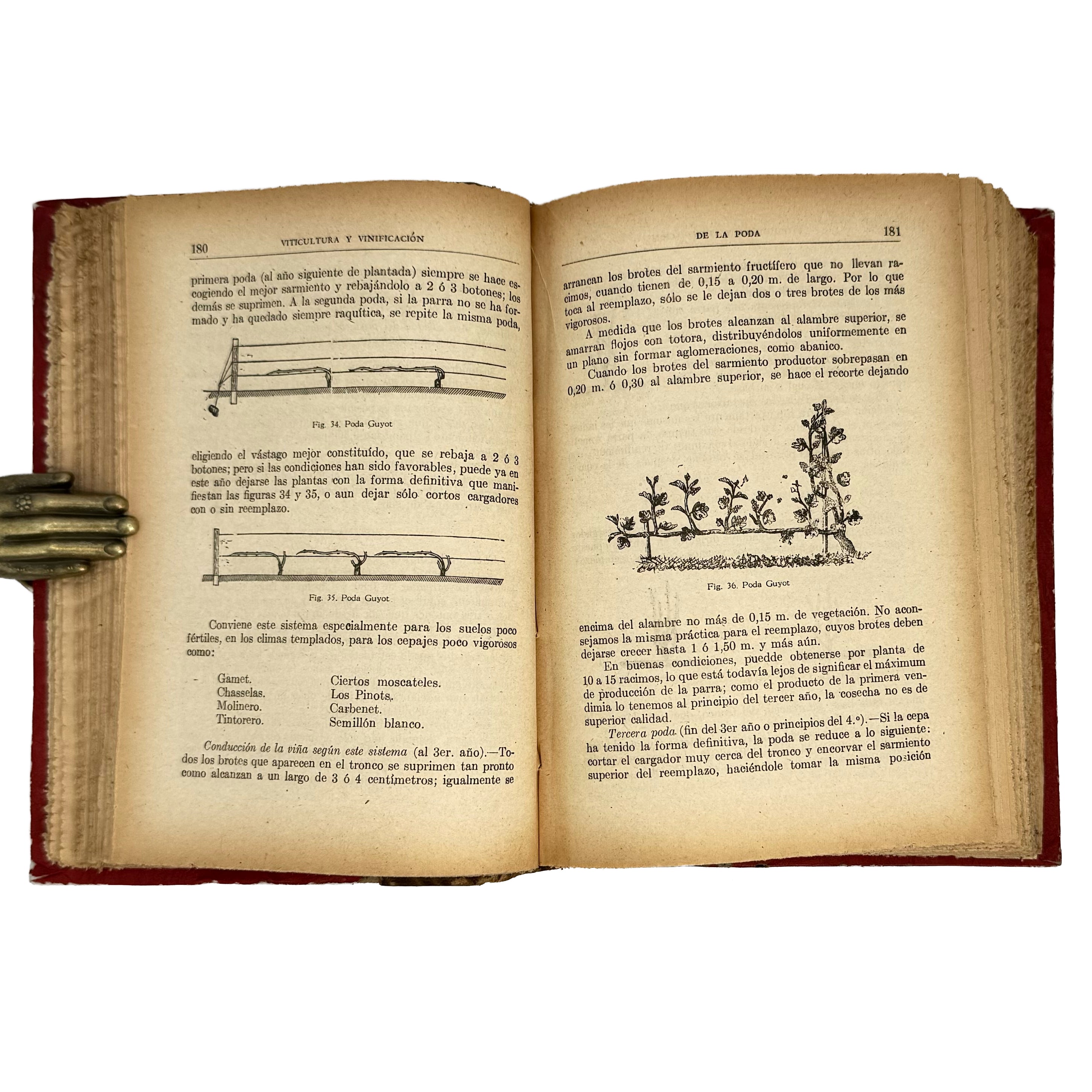 Viticultura y Vinificación by Rojas L., Manuel: a distinctive element from the 1950 wine & viticulture treatise