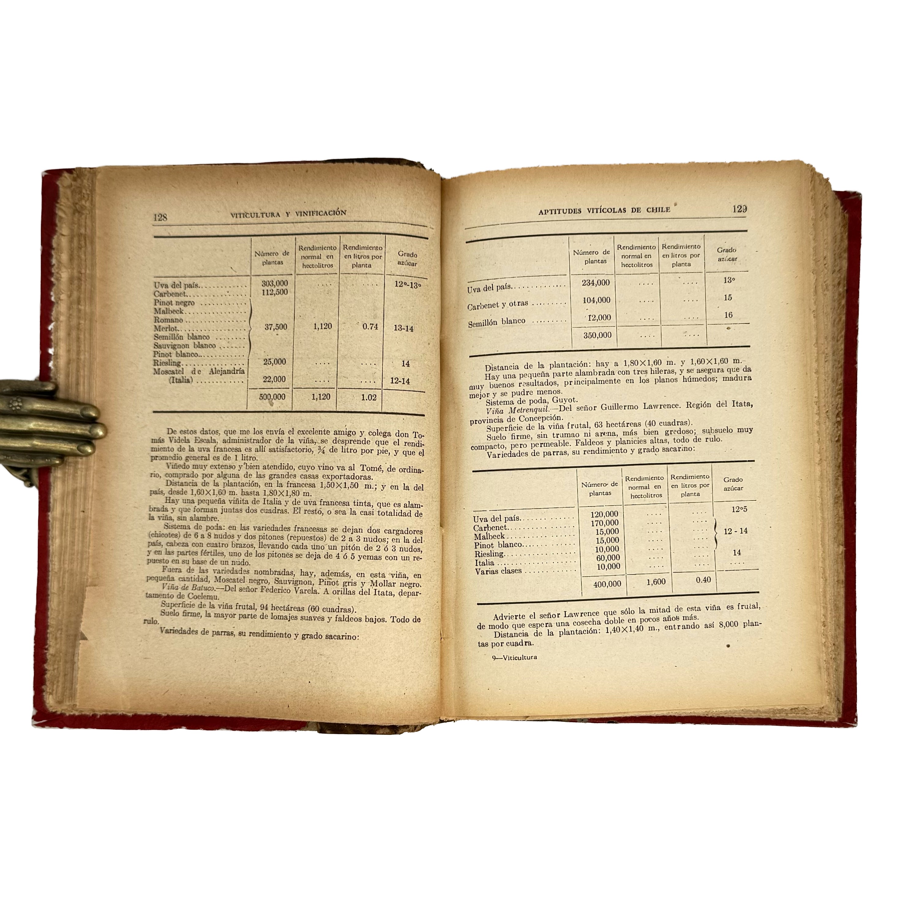 Viticultura y Vinificación by Rojas L., Manuel: a scarce visual specimen of the 1950 wine & viticulture piece