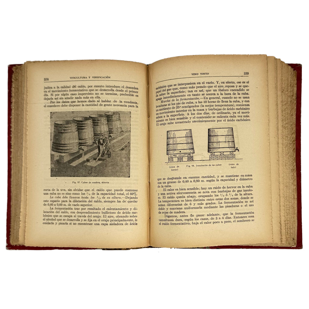 Viticultura y Vinificación by Rojas L., Manuel: an uncommon representative view of the 1950 wine & viticulture publication