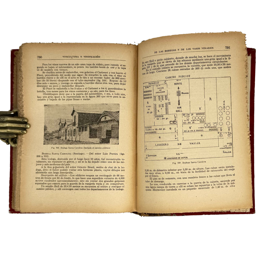 Viticultura y Vinificación by Rojas L., Manuel: a finely chosen detail from the 1950 wine & viticulture edition
