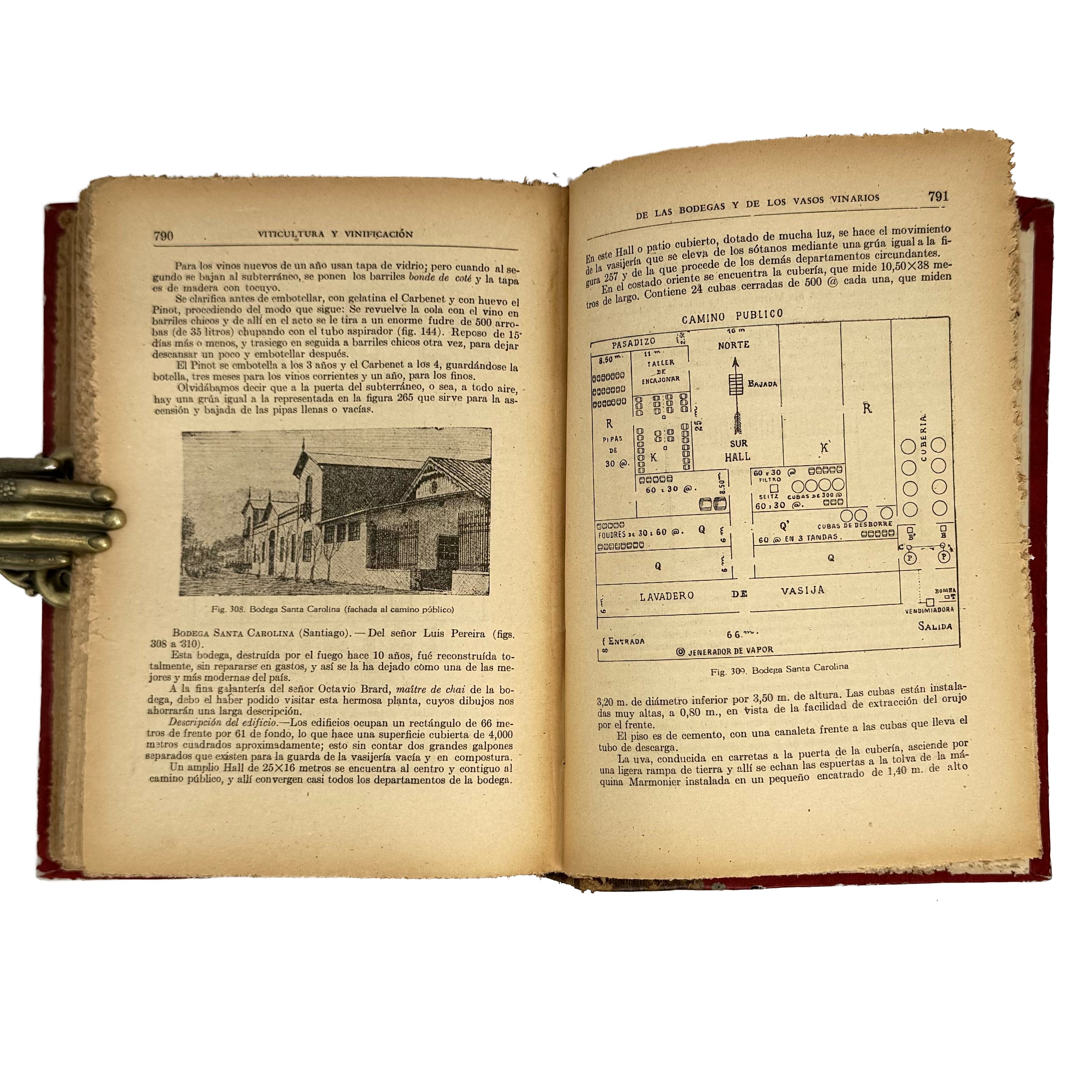 Viticultura y Vinificación by Rojas L., Manuel: a finely chosen detail from the 1950 wine & viticulture edition