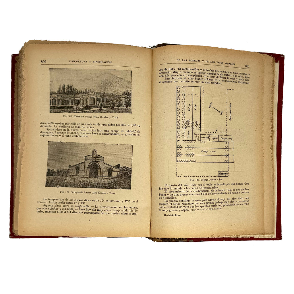 Viticultura y Vinificación by Rojas L., Manuel: a rare glimpse into the 1950 wine & viticulture publication
