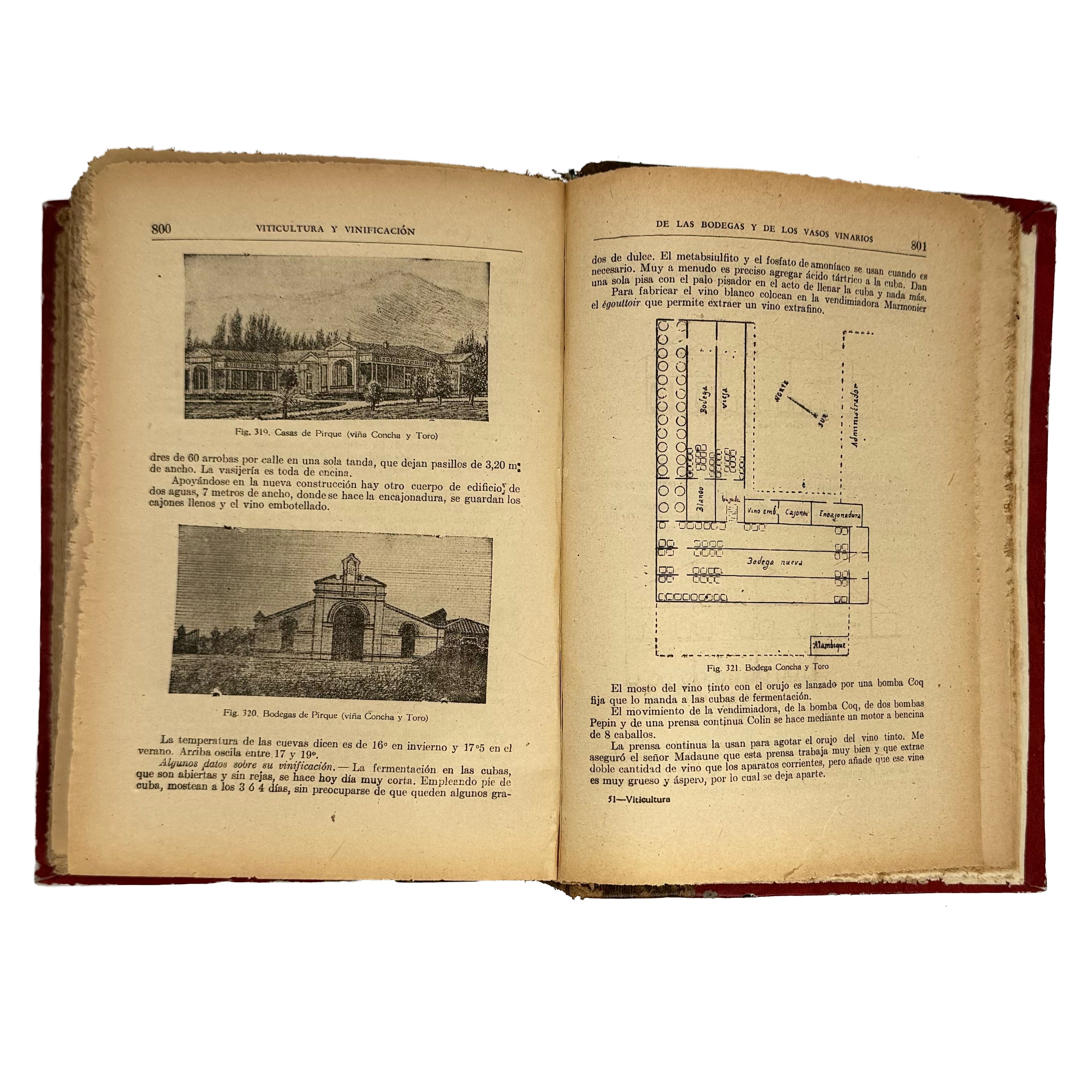 Viticultura y Vinificación by Rojas L., Manuel: a rare glimpse into the 1950 wine & viticulture publication