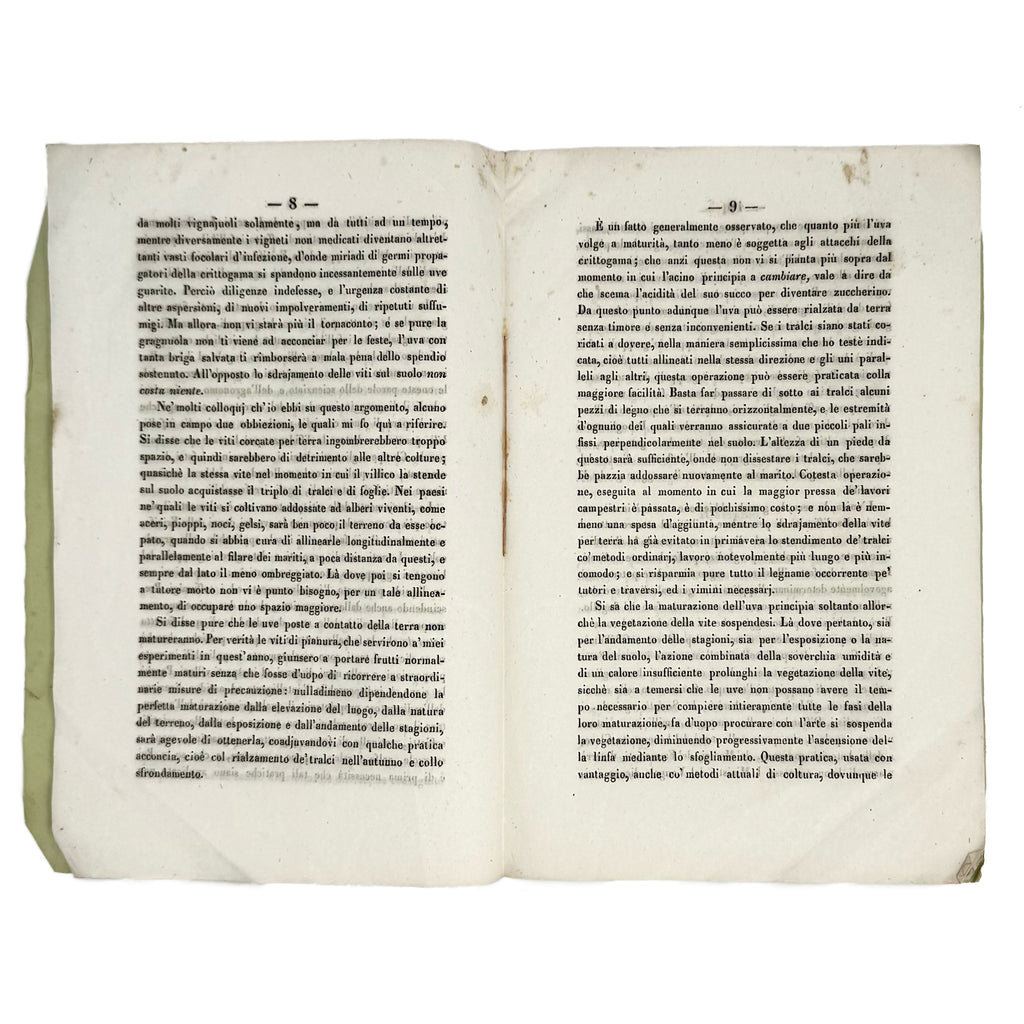 Metodo certo per prevenire i danni del bianco dei grappoli by Trevisan, Vittore: a scarce illustrative detail of the 1853 wine & viticulture copy