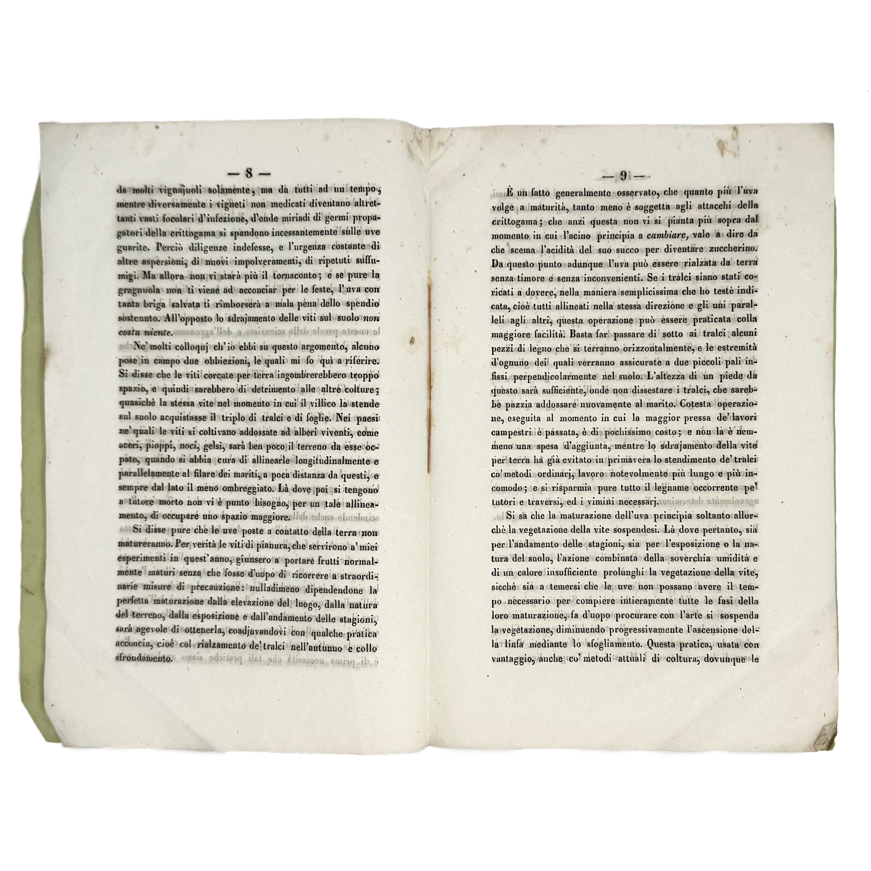 Metodo certo per prevenire i danni del bianco dei grappoli by Trevisan, Vittore: a scarce illustrative detail of the 1853 wine & viticulture copy