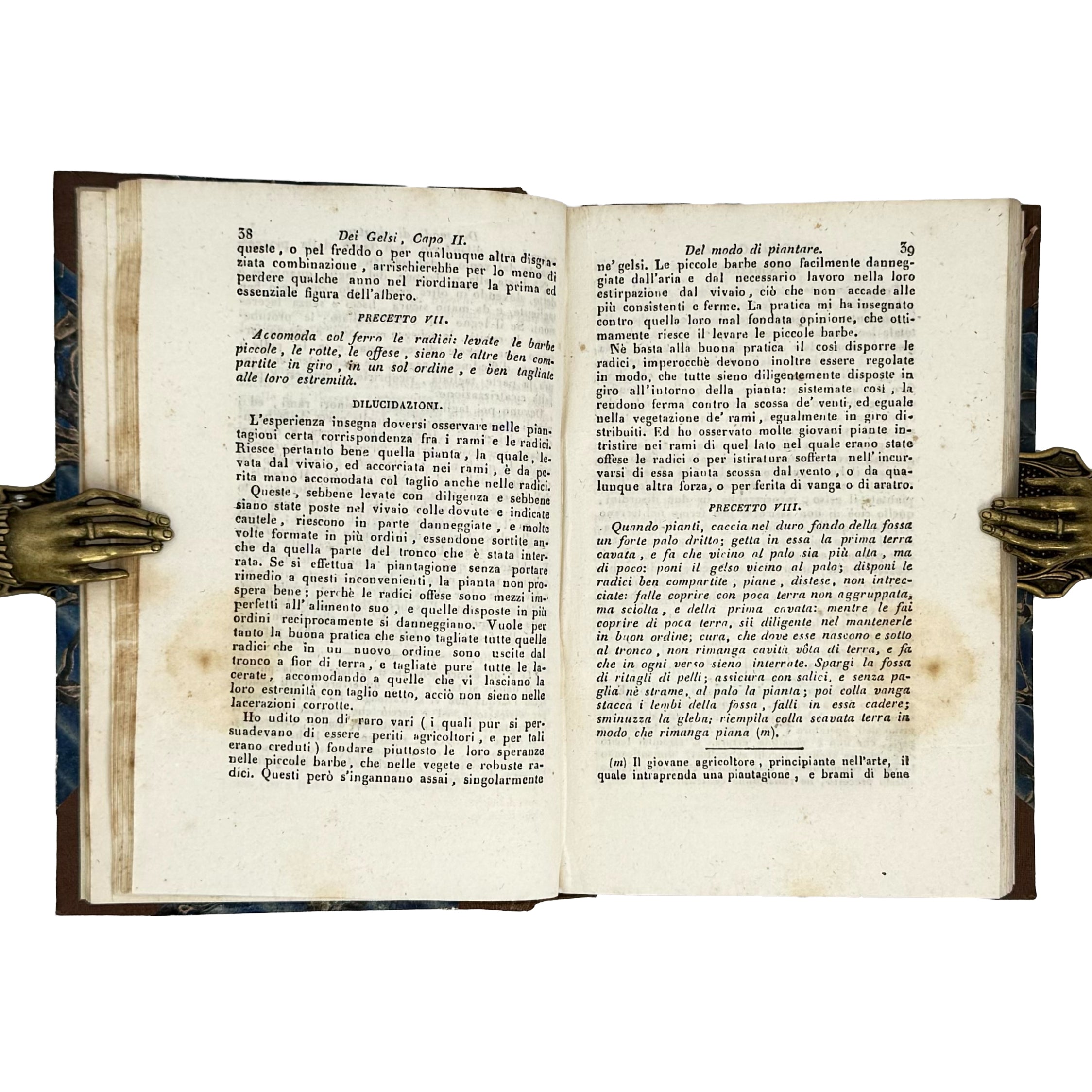 Saggi di agricoltura pratica sulla coltivazione dei gelsi e delle viti by Verri, Carlo: a rare glimpse into the 1840 wine & viticulture edition