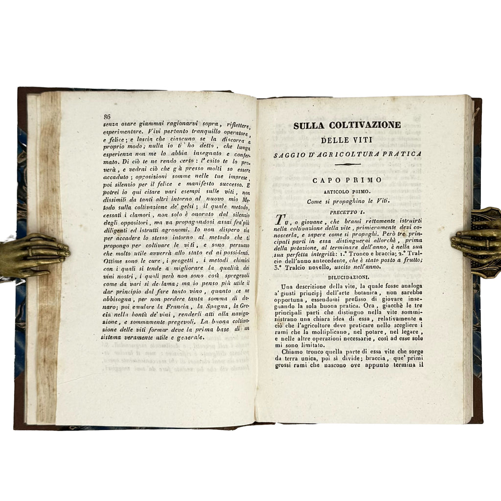 Saggi di agricoltura pratica sulla coltivazione dei gelsi e delle viti by Verri, Carlo: an exceptional example from the 1840 wine & viticulture copy