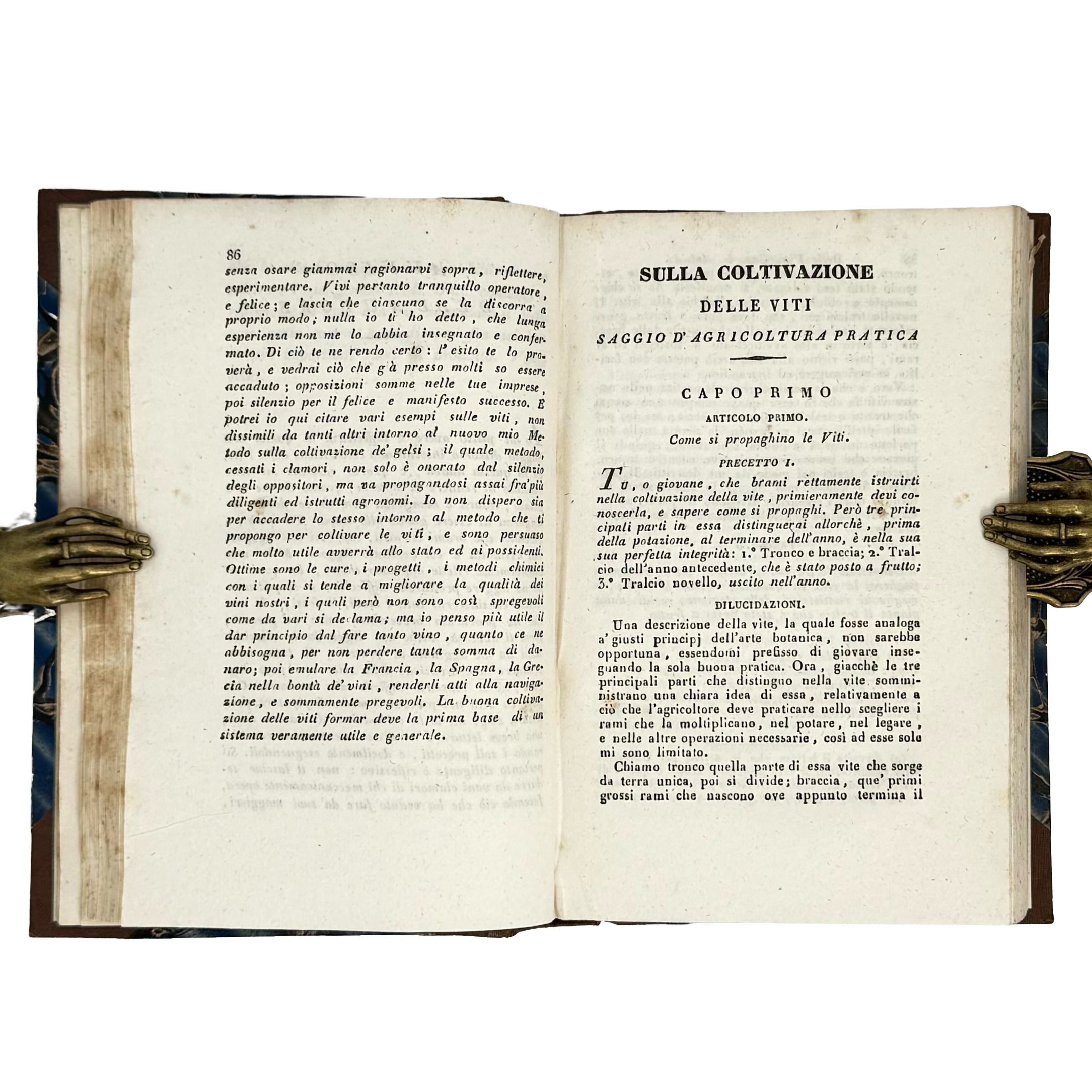 Saggi di agricoltura pratica sulla coltivazione dei gelsi e delle viti by Verri, Carlo: an exceptional example from the 1840 wine & viticulture copy