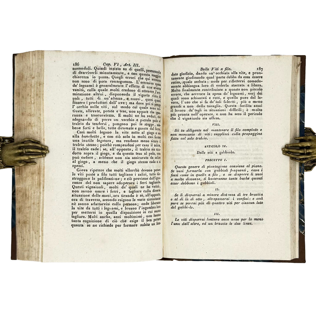 Saggi di agricoltura pratica sulla coltivazione dei gelsi e delle viti by Verri, Carlo: a carefully chosen vignette of the 1840 wine & viticulture piece