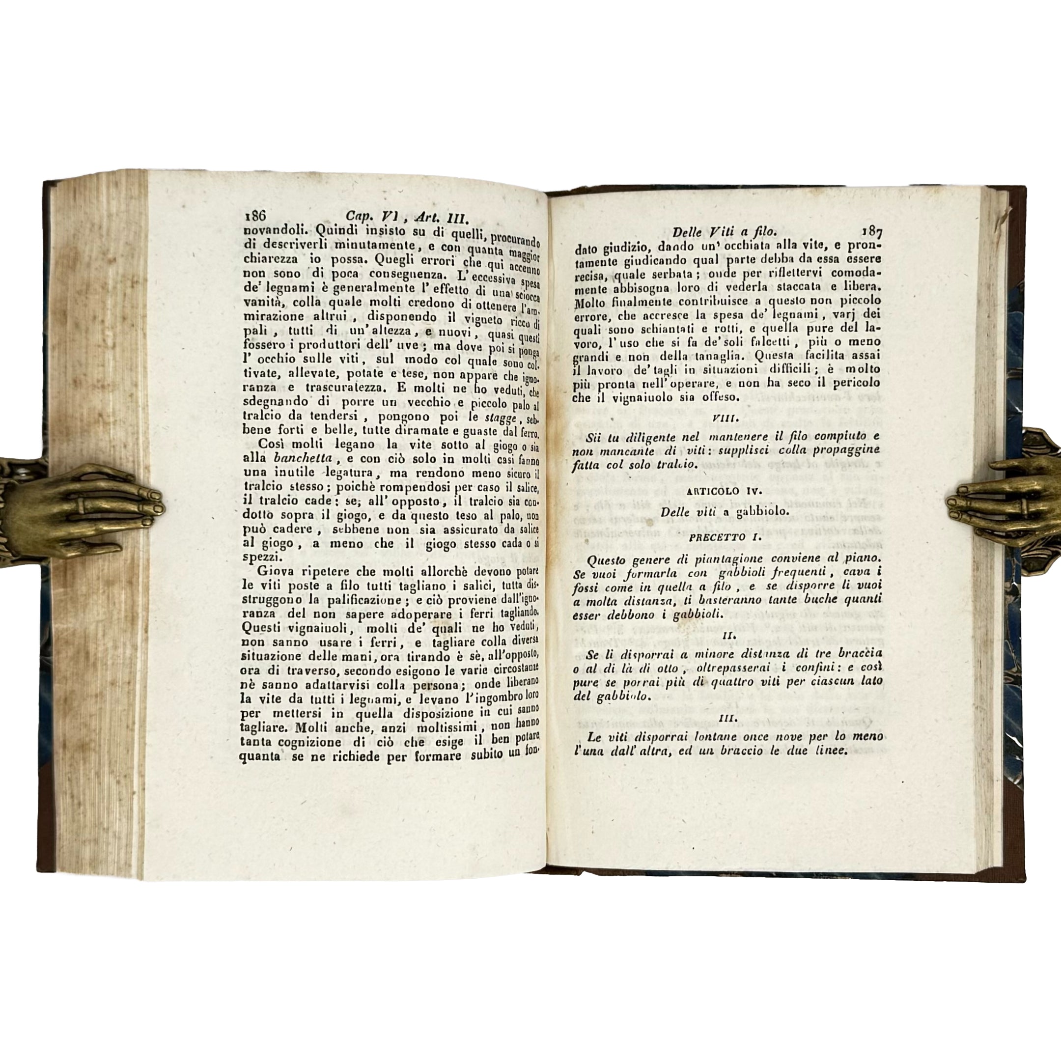 Saggi di agricoltura pratica sulla coltivazione dei gelsi e delle viti by Verri, Carlo: a carefully chosen vignette of the 1840 wine & viticulture piece