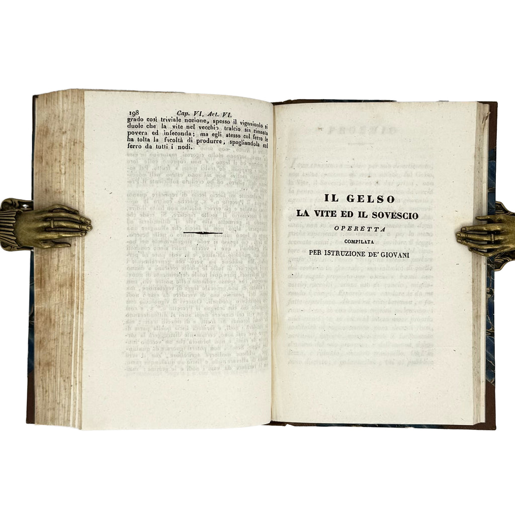 Saggi di agricoltura pratica sulla coltivazione dei gelsi e delle viti by Verri, Carlo: a singularly preserved detail from the 1840 wine & viticulture publication