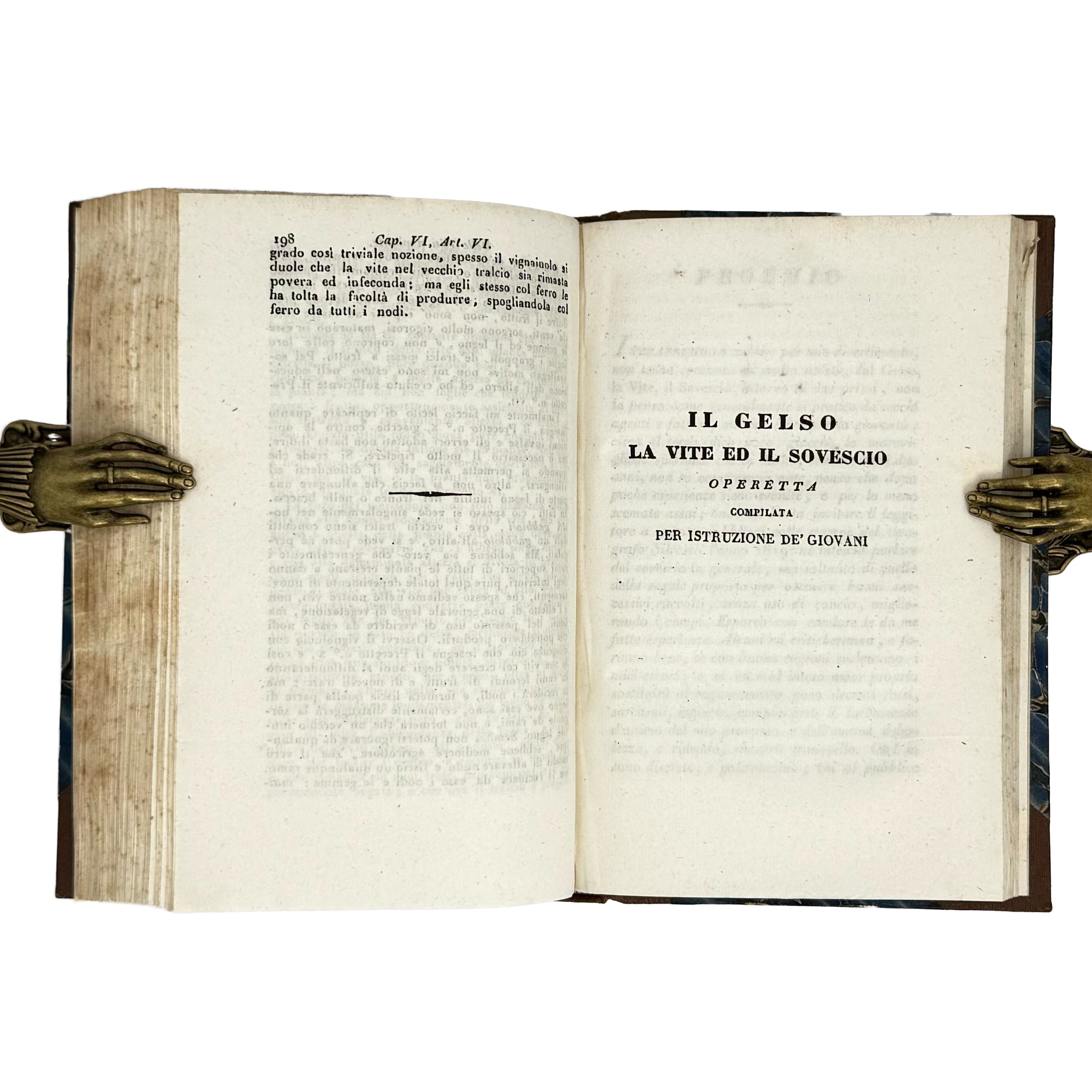 Saggi di agricoltura pratica sulla coltivazione dei gelsi e delle viti by Verri, Carlo: a singularly preserved detail from the 1840 wine & viticulture publication