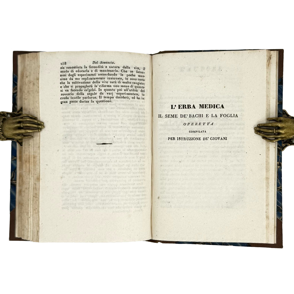 Saggi di agricoltura pratica sulla coltivazione dei gelsi e delle viti by Verri, Carlo: a delicate visual nuance of the 1840 wine & viticulture text