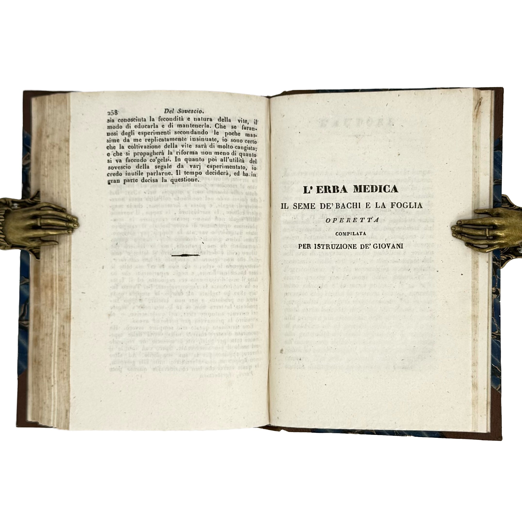 Saggi di agricoltura pratica sulla coltivazione dei gelsi e delle viti by Verri, Carlo: a delicate visual nuance of the 1840 wine & viticulture text