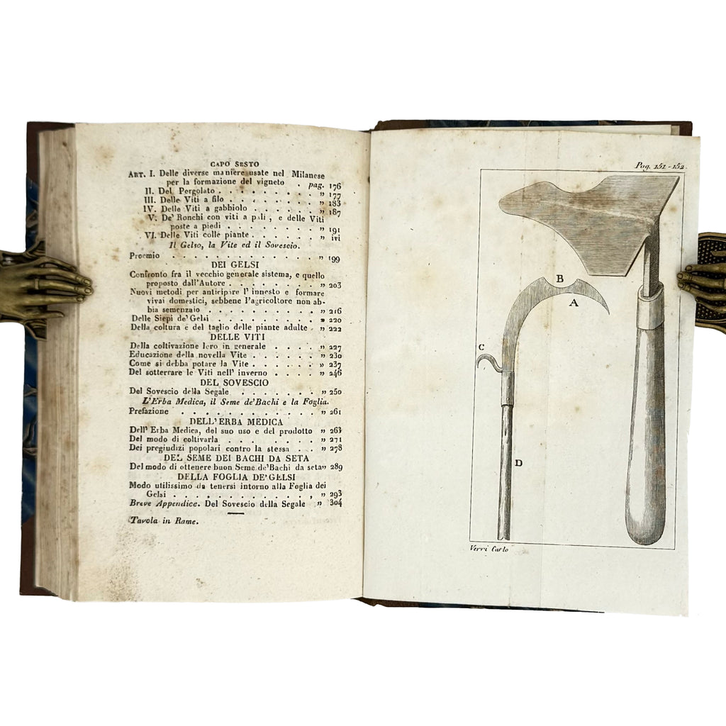 Saggi di agricoltura pratica sulla coltivazione dei gelsi e delle viti by Verri, Carlo: a remarkable illustrative passage from the 1840 wine & viticulture piece