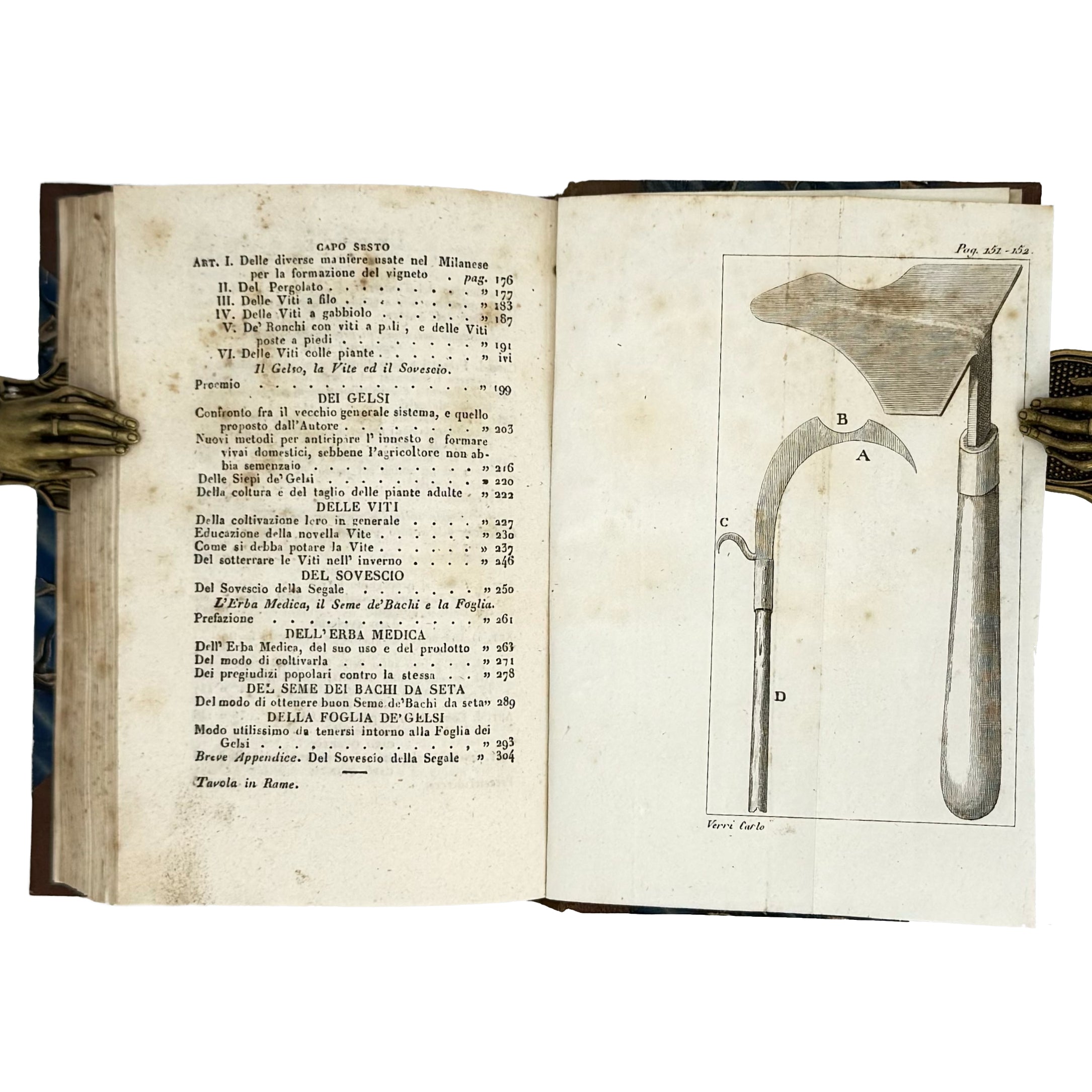 Saggi di agricoltura pratica sulla coltivazione dei gelsi e delle viti by Verri, Carlo: a remarkable illustrative passage from the 1840 wine & viticulture piece