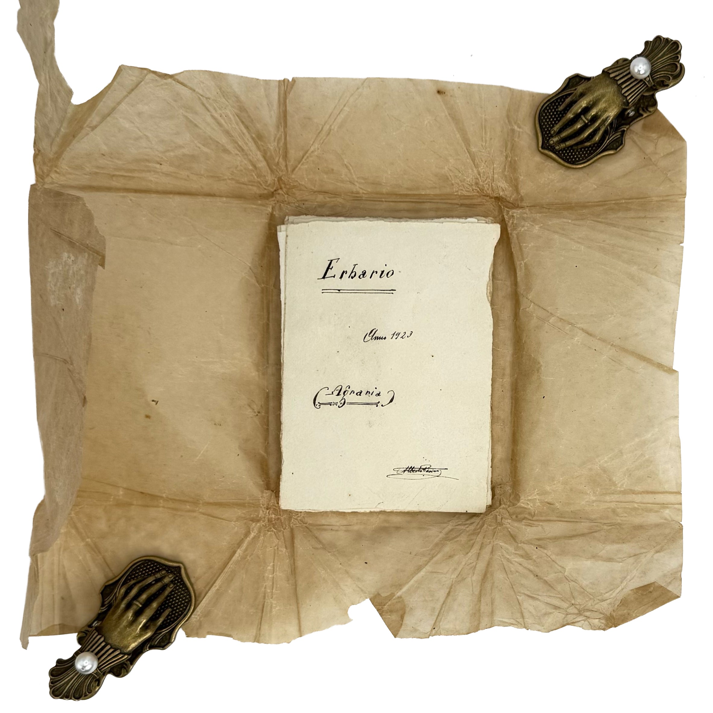 Italian small Herbarium, 12 specimens by : a precious visual instance of the 1923 agriculture & natural history publication