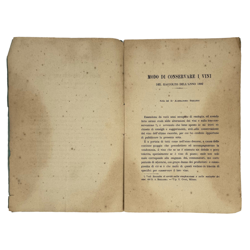 Modo di conservare i vini del raccolto dell'anno 1882 by Bizzarri, Alessandro: a rare visual excerpt of the 1883 wine & viticulture work