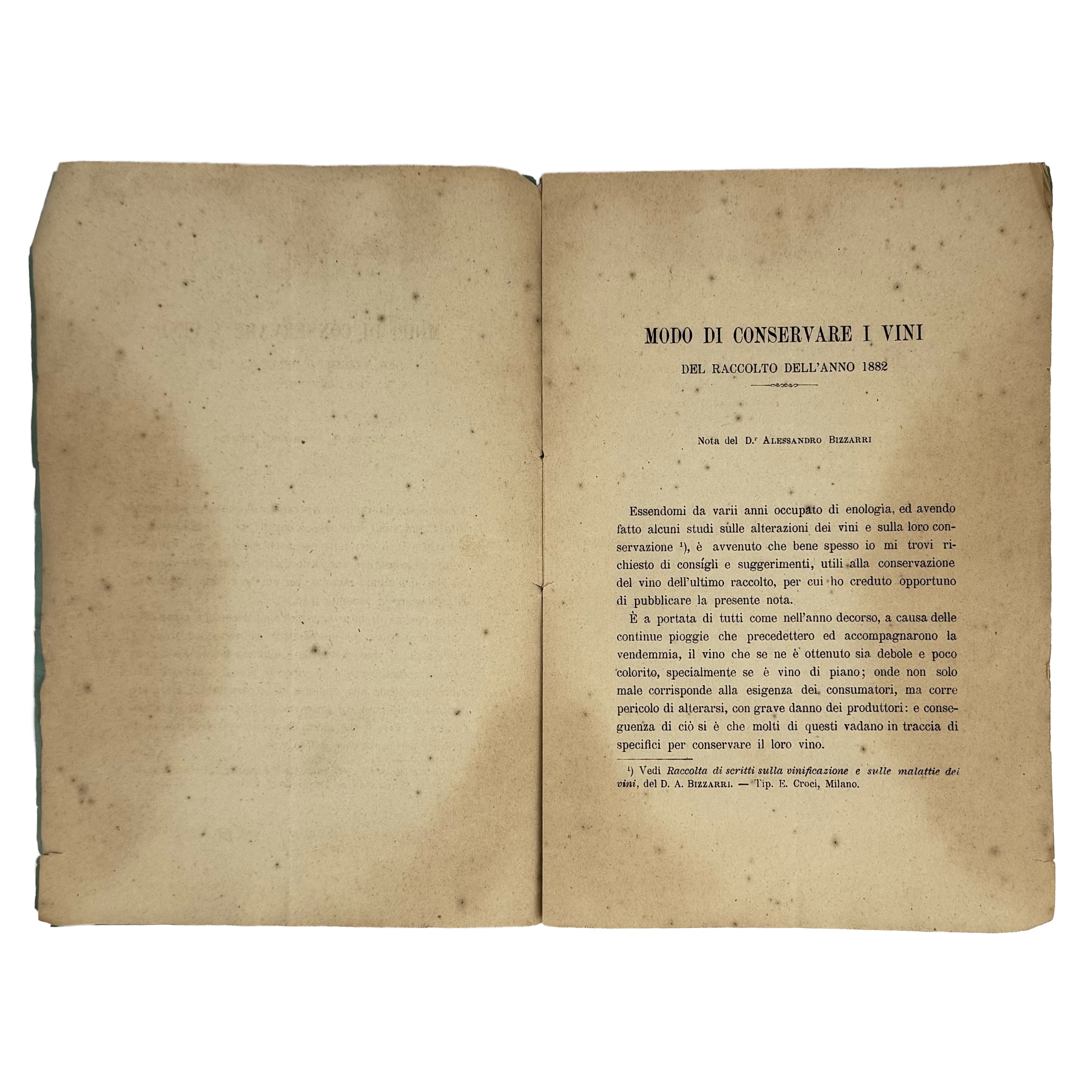 Modo di conservare i vini del raccolto dell'anno 1882 by Bizzarri, Alessandro: a rare visual excerpt of the 1883 wine & viticulture work